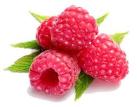 raspberry