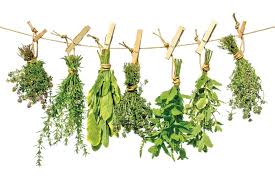 herbs